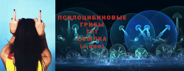 твердый Протвино