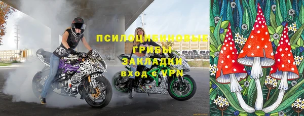 твердый Протвино