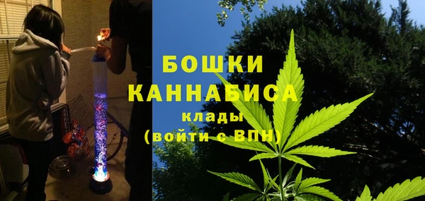 твердый Протвино