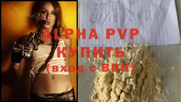 ГАЛЛЮЦИНОГЕННЫЕ ГРИБЫ Рославль