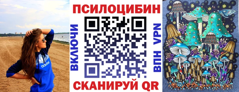 Купить  Дубна  Псилоцибиновые грибы мицелий 